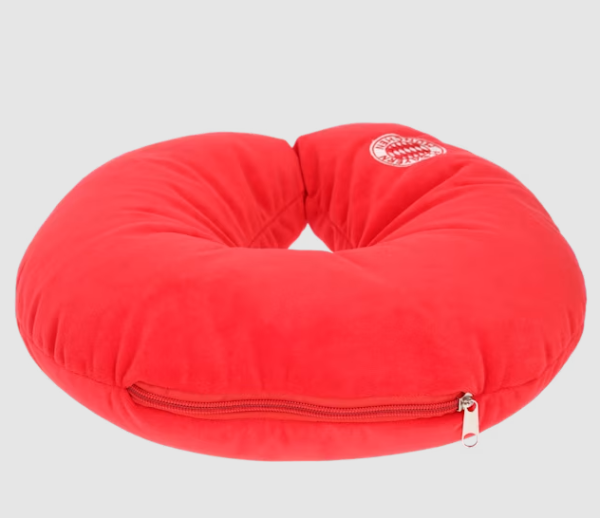 FC Bayern München - Reisekissen 2 in 1